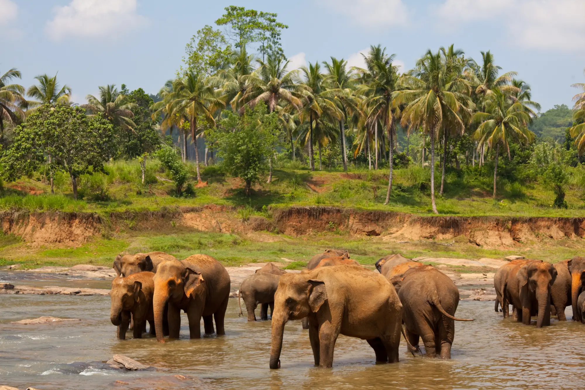 Reisen nach Sri Lanka: Beste Reisezeit, Regionen & Routen-Tipps
